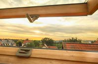 rated Ganton roof window companies